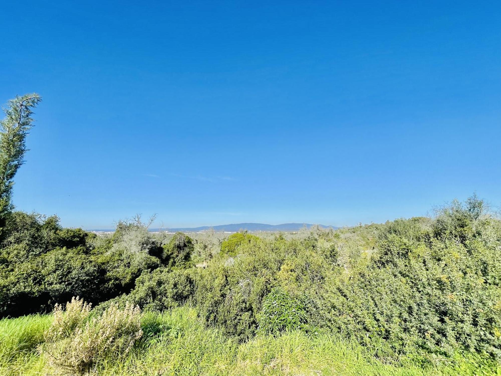 Lavanda - 2 Bedrooms - 3 Level Pool - Garden - Beach 1Km Estômbar Buitenkant foto